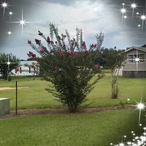 Meet your Posher, Kenneth